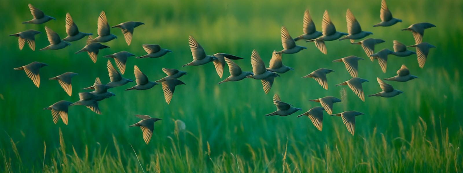 Un liderazgo transformador