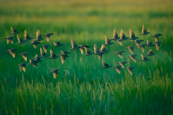 Un liderazgo transformador